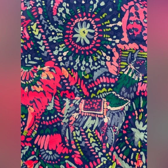 Lilly Pulitzer Women’s Size 8 Mid Rise Kelly Skinny Ankle Pants - Picture 4 of 15